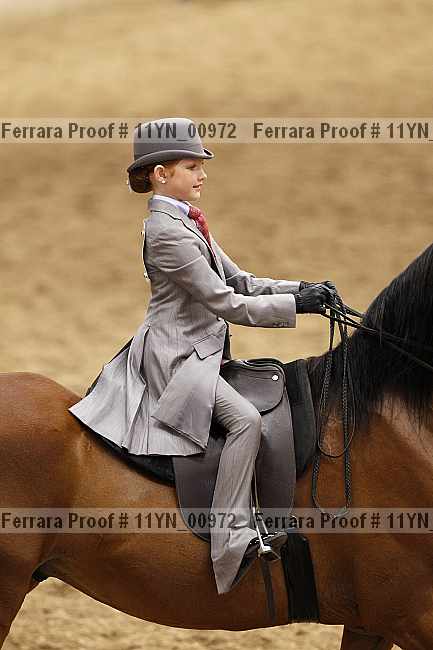 Proof 11yn_00972