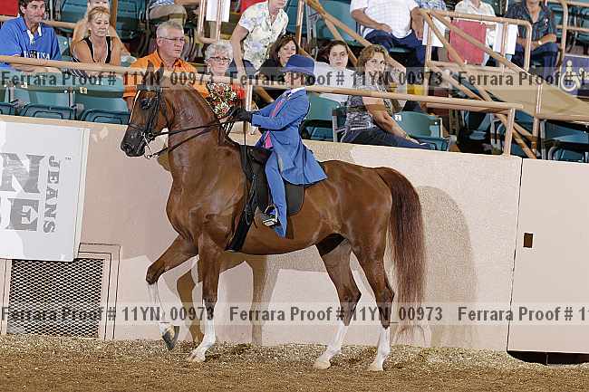 Proof 11yn_00973