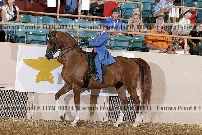 Proof 11yn_00974