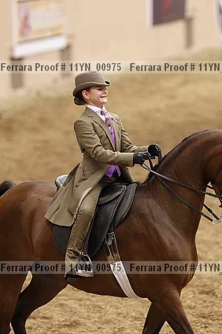 Proof 11yn_00975