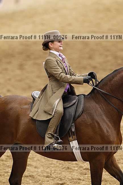 Proof 11yn_00976
