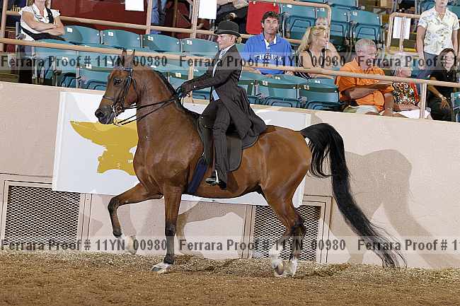 Proof 11yn_00980