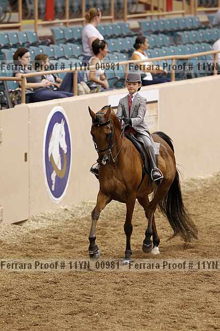 Proof 11yn_00981