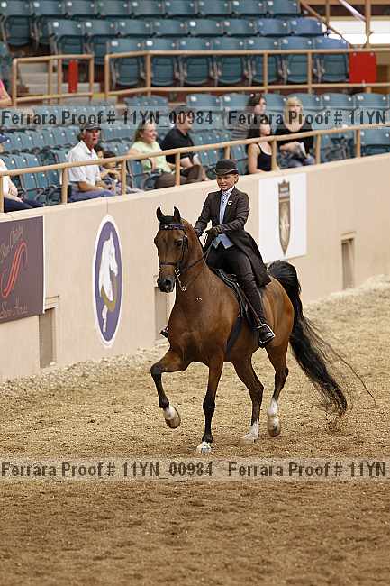 Proof 11yn_00984