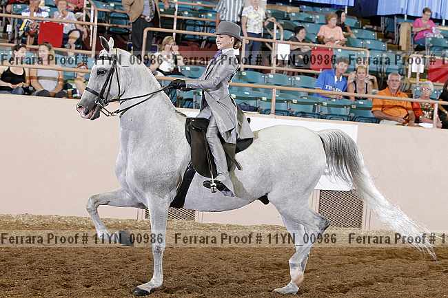 Proof 11yn_00986