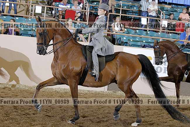 Proof 11yn_00989