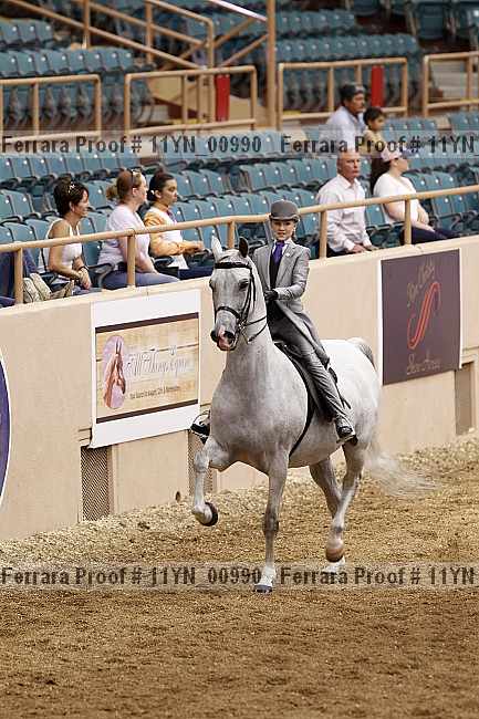 Proof 11yn_00990