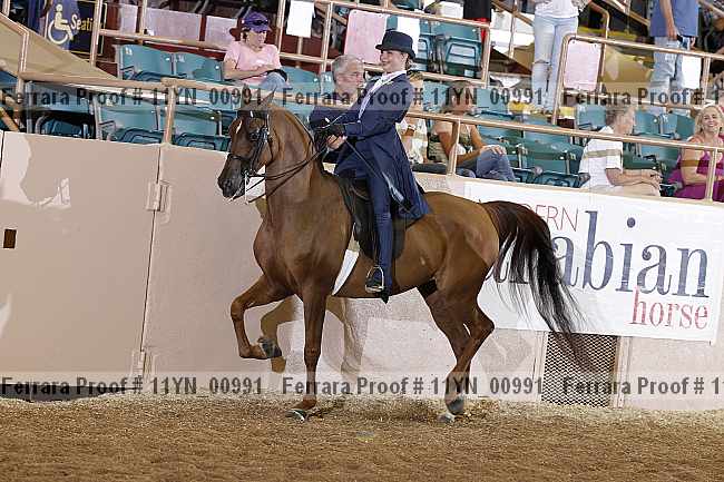 Proof 11yn_00991