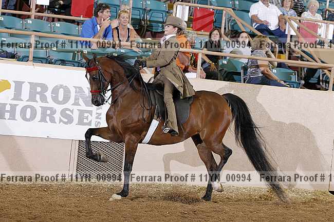 Proof 11yn_00994