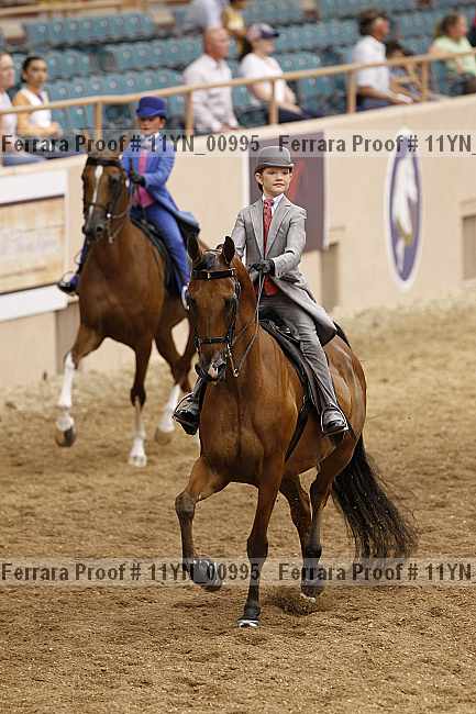 Proof 11yn_00995