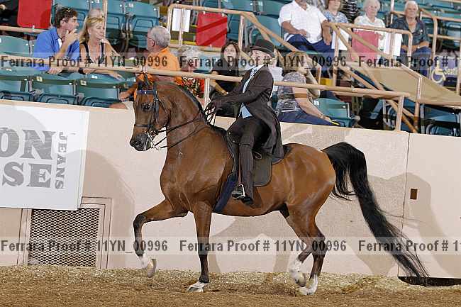 Proof 11yn_00996