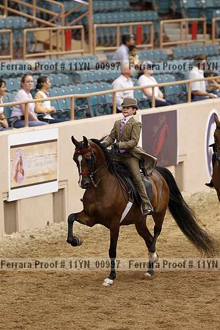 Proof 11yn_00997