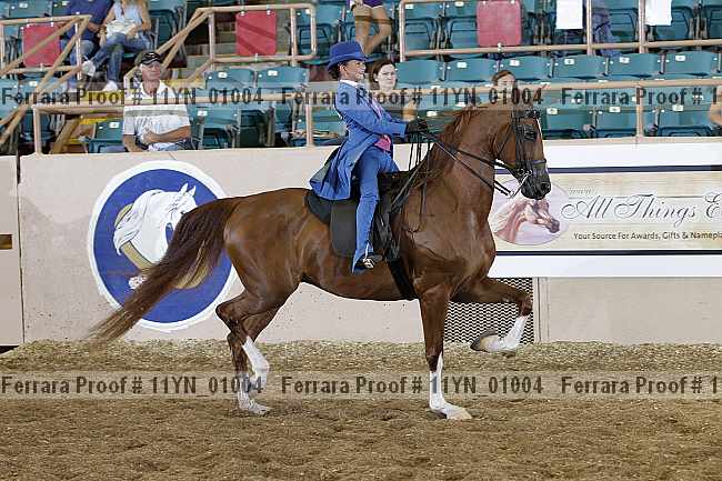Proof 11yn_01004