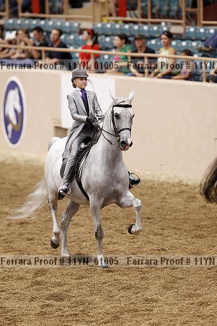 Proof 11yn_01005