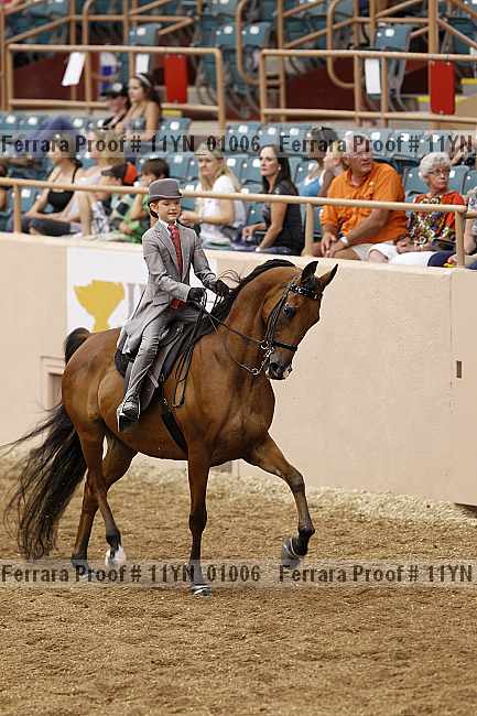 Proof 11yn_01006