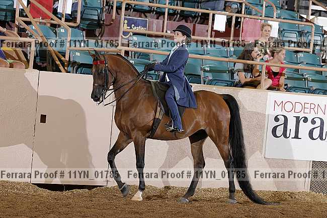 Proof 11yn_01785