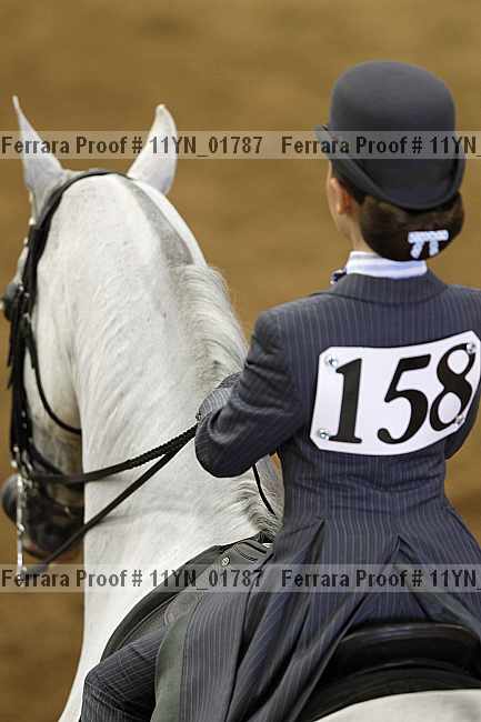 Proof 11yn_01787