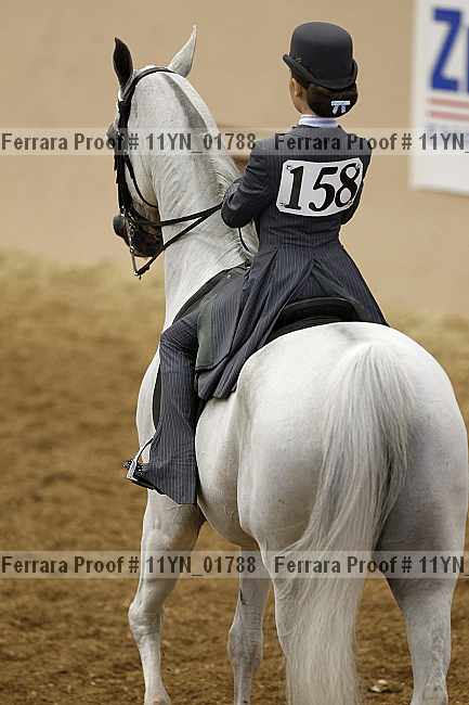 Proof 11yn_01788
