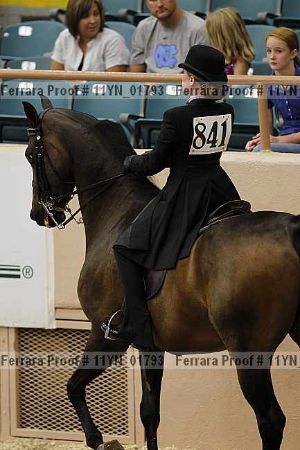 Proof 11yn_01793