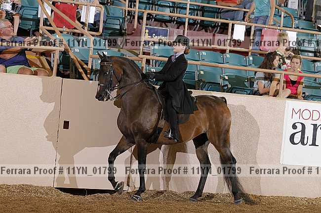 Proof 11yn_01799