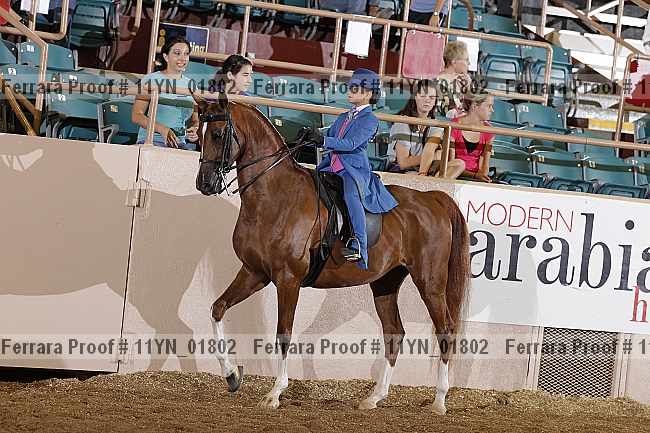 Proof 11yn_01802