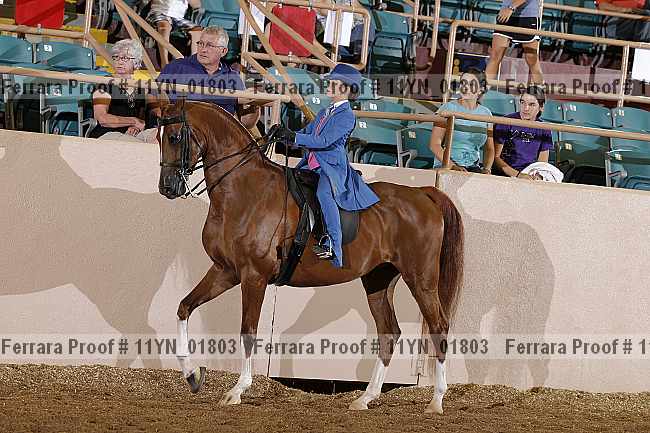 Proof 11yn_01803