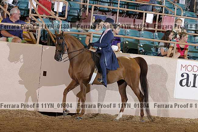 Proof 11yn_01804