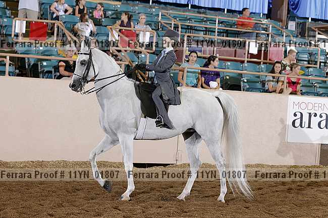 Proof 11yn_01807
