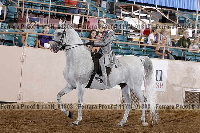 Proof 11yn_01808