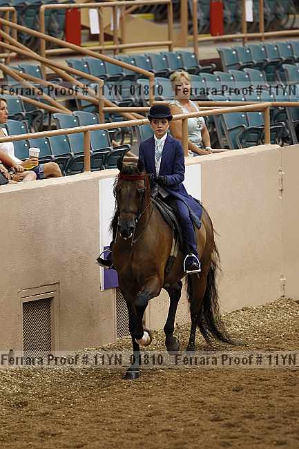 Proof 11yn_01810