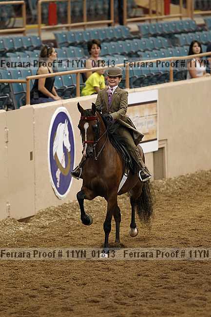 Proof 11yn_01813