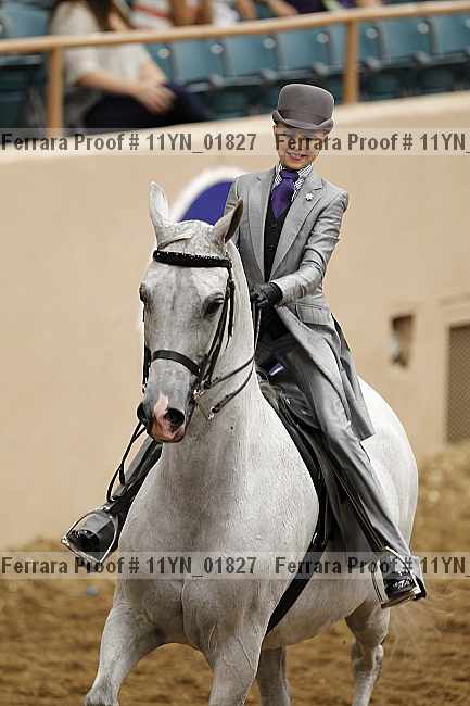 Proof 11yn_01827