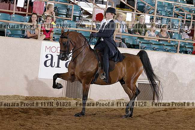 Proof 11yn_01828