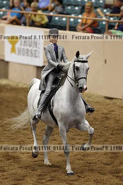 Proof 11yn_01841