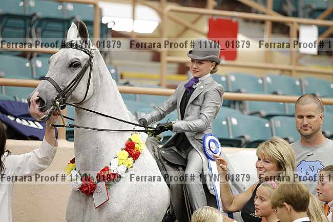 Proof 11yn_01879