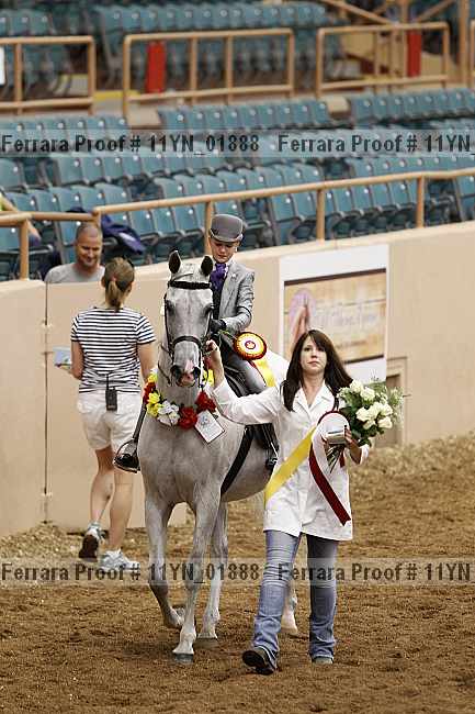 Proof 11yn_01888