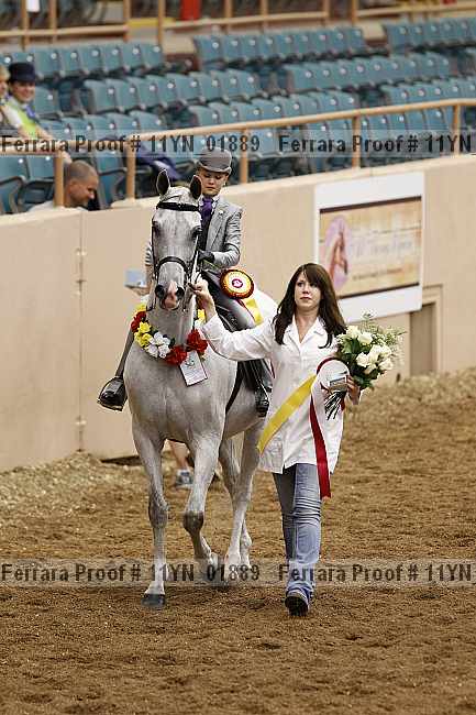 Proof 11yn_01889