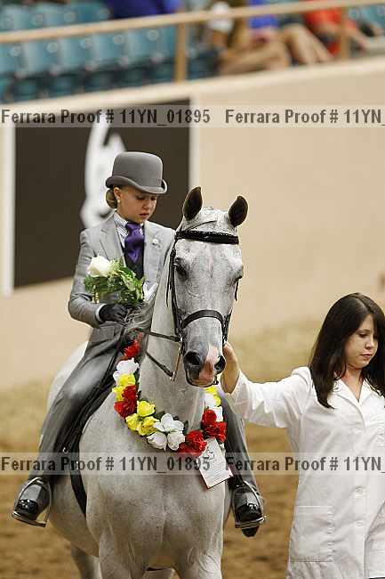 Proof 11yn_01895