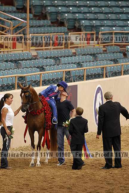 Proof 11yn_01908