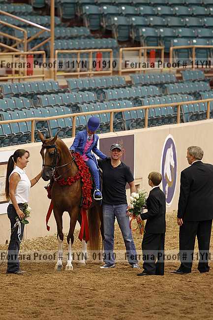 Proof 11yn_01910