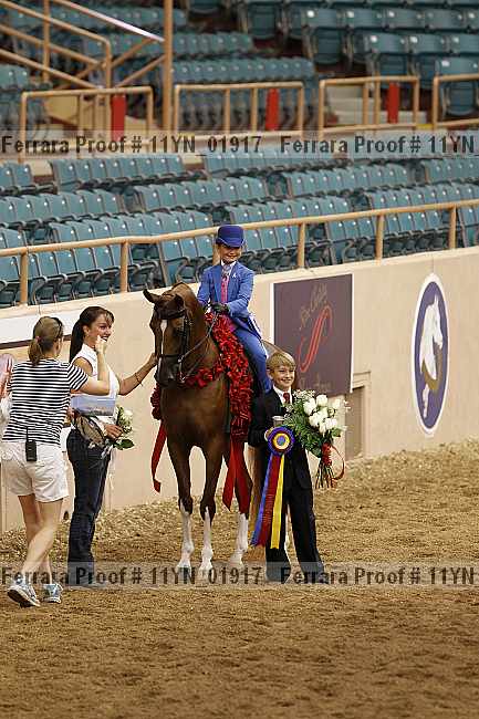 Proof 11yn_01917