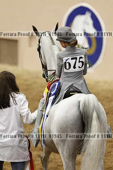 Proof 11yn_01945