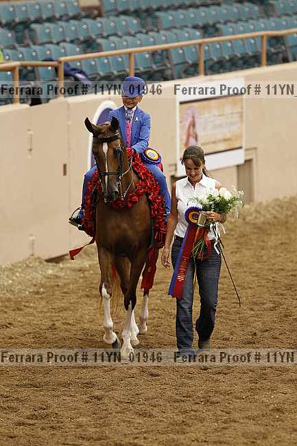 Proof 11yn_01946