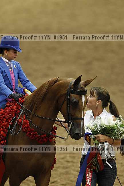 Proof 11yn_01951