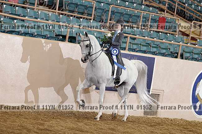 Proof 11yn_01952