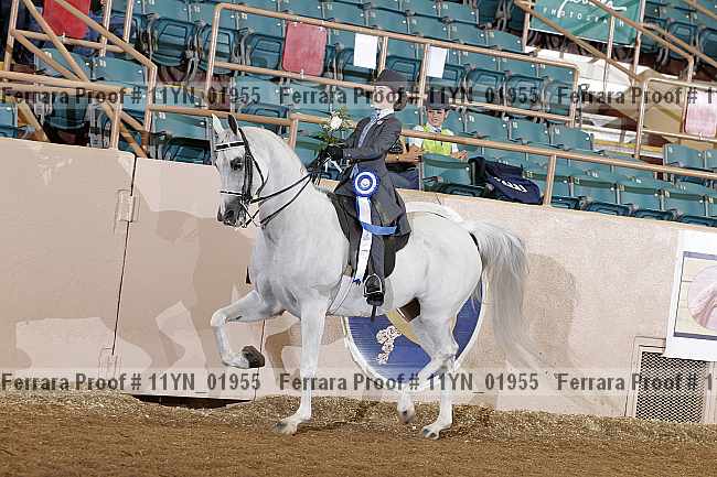 Proof 11yn_01955