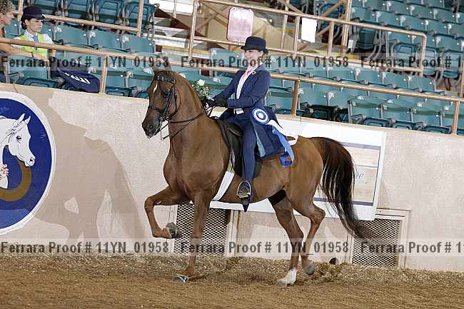 Proof 11yn_01958