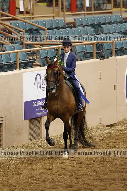 Proof 11yn_01965