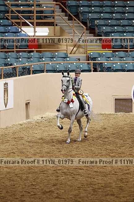 Proof 11yn_01979