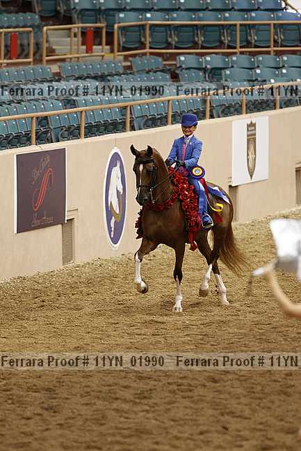 Proof 11yn_01990